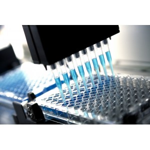 Е3100  Enzytec™ Color Винная кислота