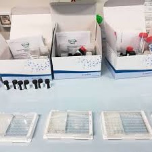 547-A cтандарт глифосата SPEX